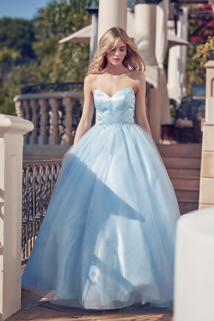 265_ICEBLUE_1251443