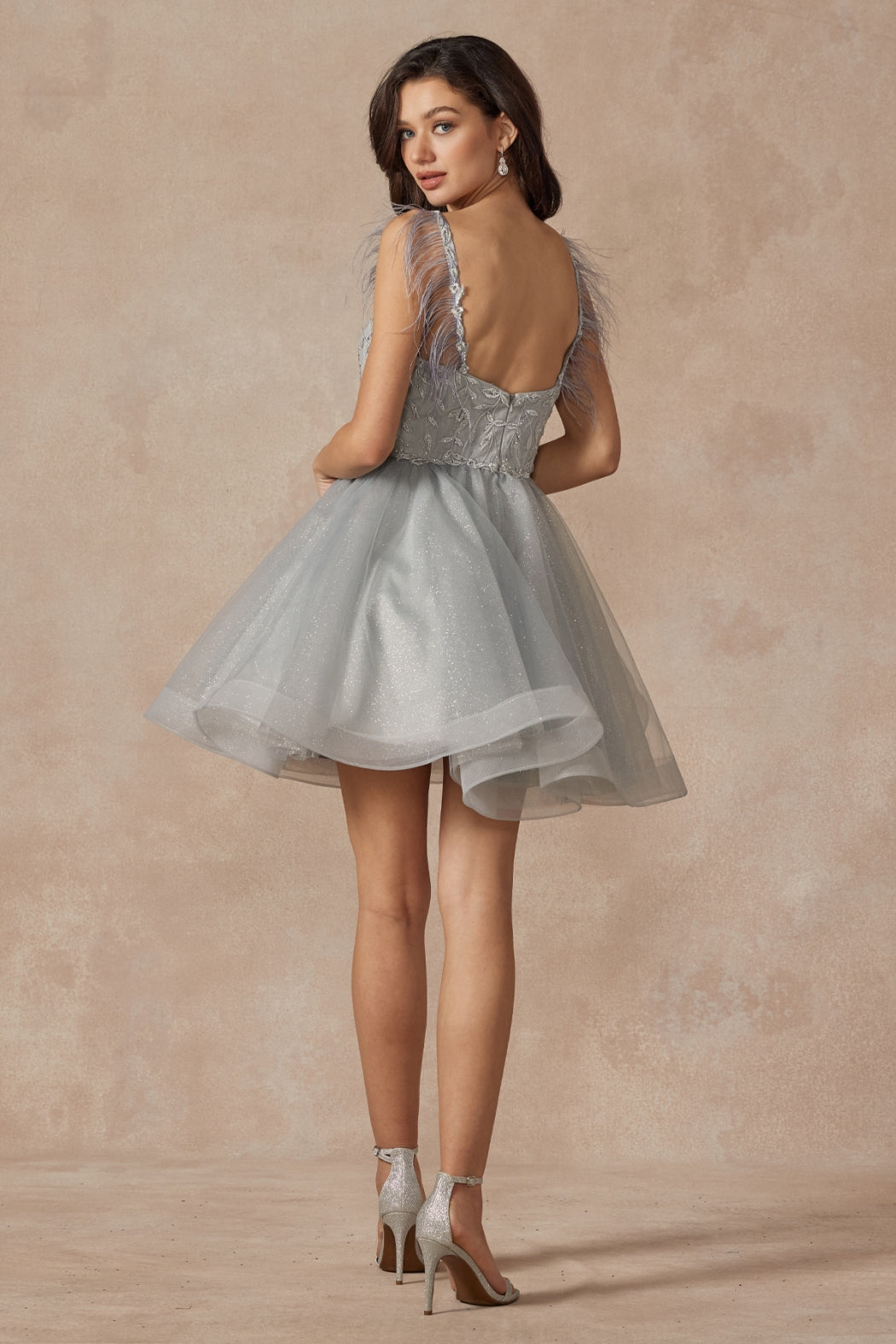 881_SILVER_1250670