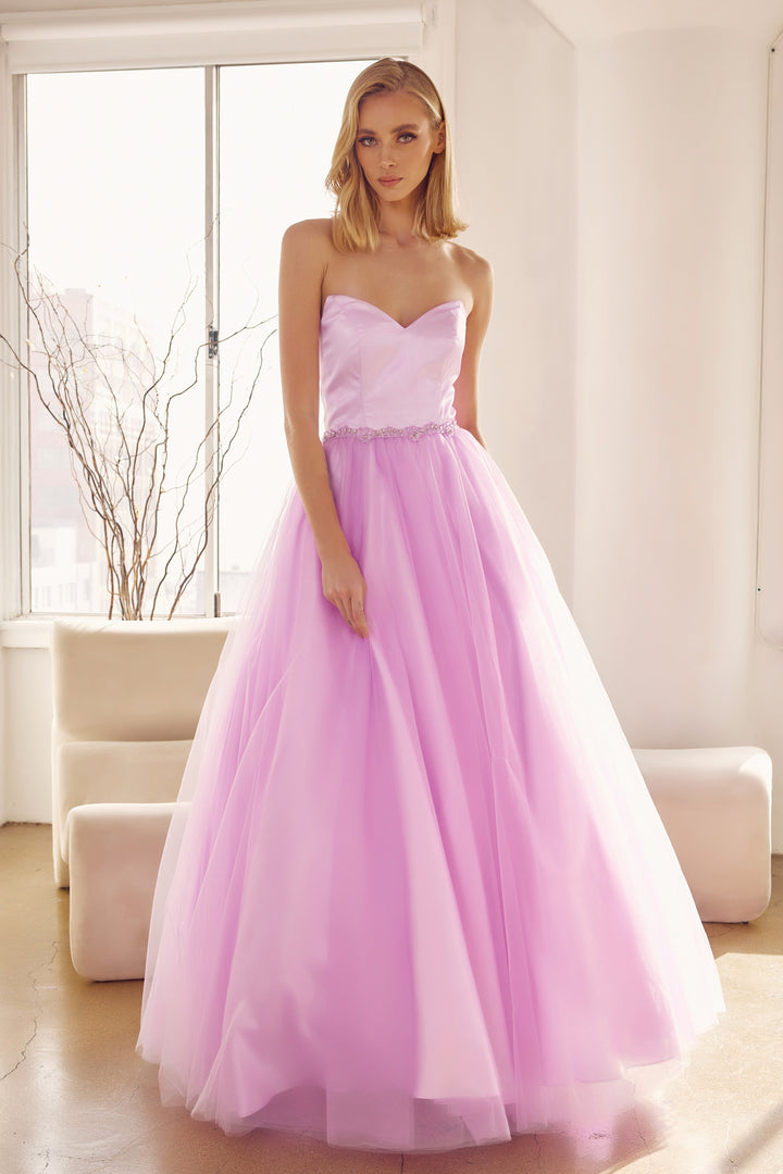 265_LILAC_1251448