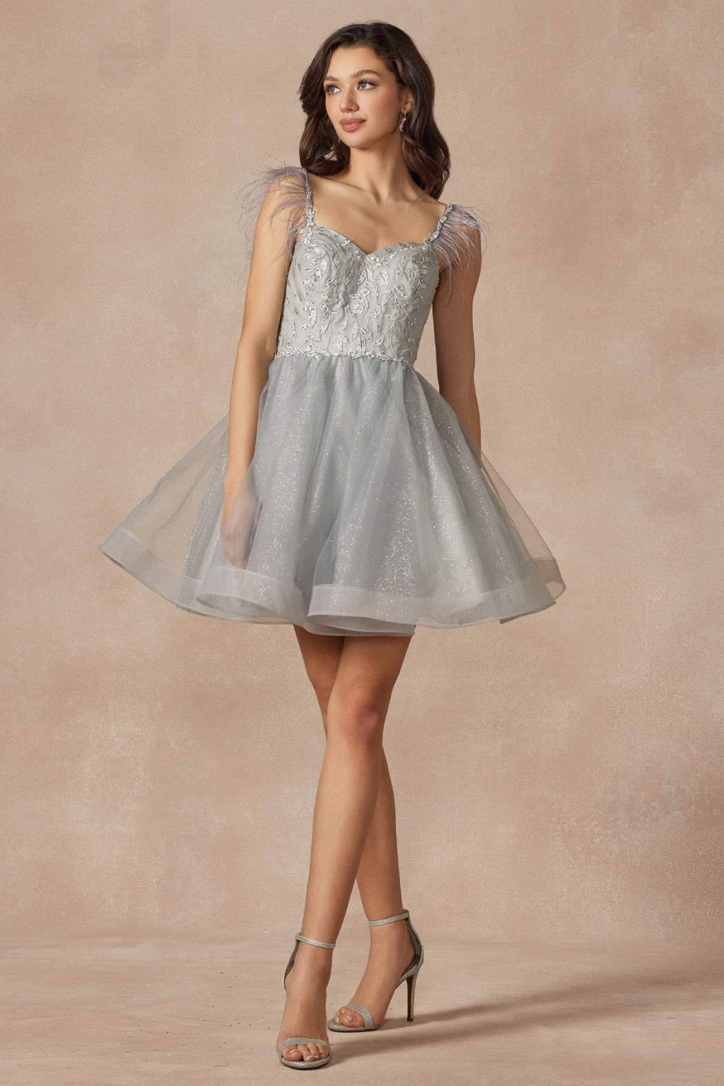 881_SILVER_1250668