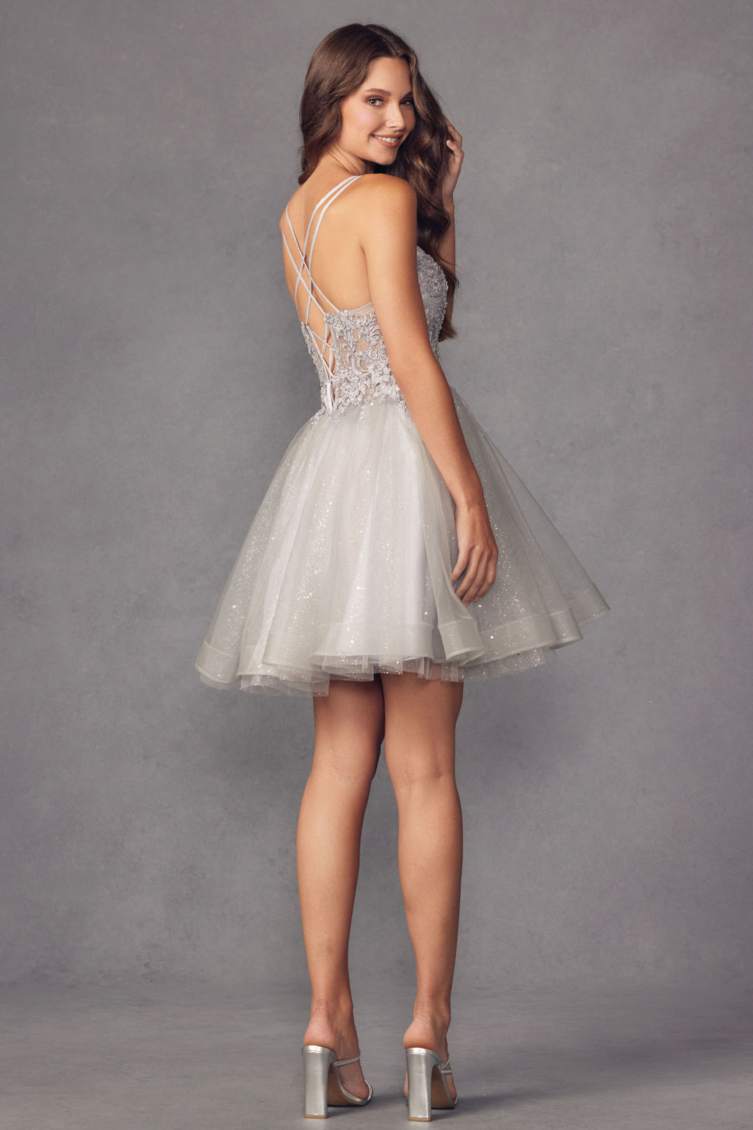 883_SILVER_1713518