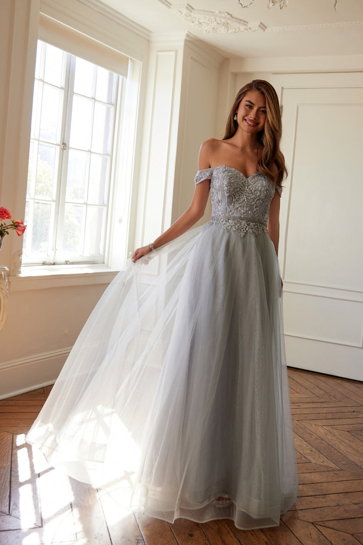 287_SILVER_3590244