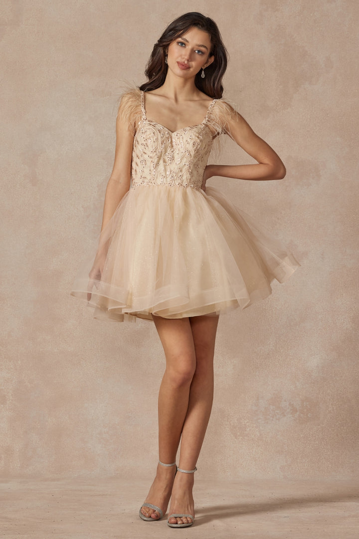 881_CHAMPAGNE_1250663