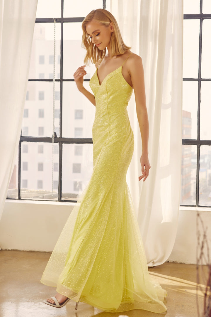 271_YELLOW_1251542