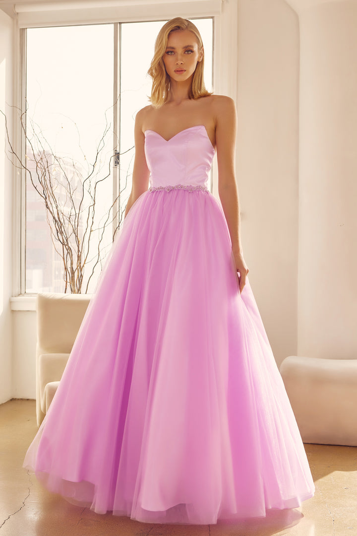 265_LILAC_1251449