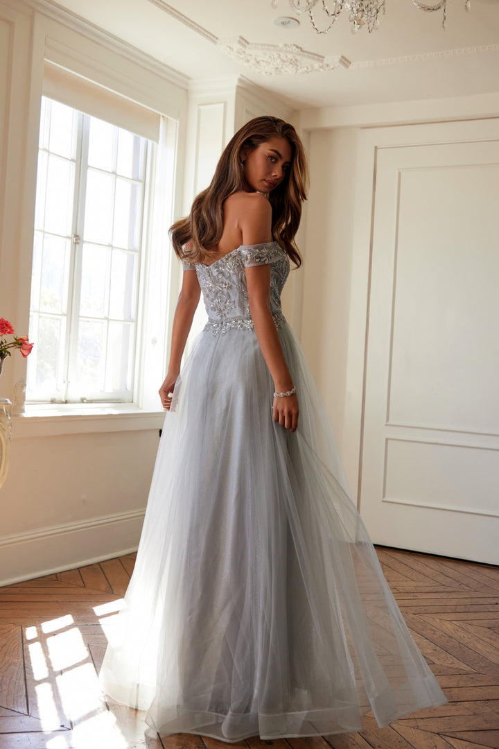 287_SILVER_3590247
